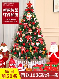 Christmas Tree Home Package Encryption DIY Luminous Large Ornaments 2024 New Style Ins Christmas Decoration