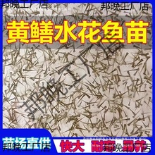 �S�Xˮ���~�絾��Ұ�����S�X�P���X�Lβ�~�X�~���ͺ��׻���