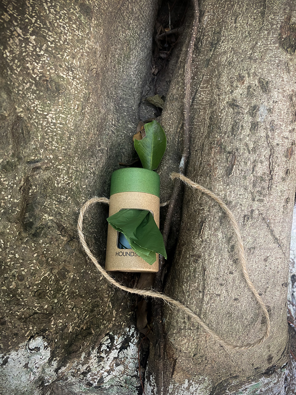 环保狗狗便便袋收纳盒