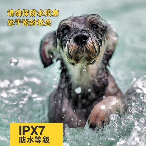 Automatic Barking Control Collar for Small Dogs, Electric Shock, Waterproof, Suitable for Small Puppies