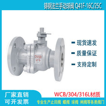 �����T䓷��m���yQ41F-16C�ք��͸ߜ�ȼ��̼��y�T2��DN50