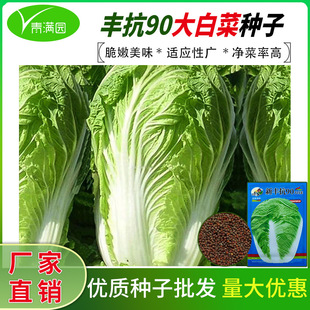 ���l�S��90��ײ˷N���r���ﶬ���Ĳ˷N���r��ˈ@�߲˷N�Ӵ�ȫ