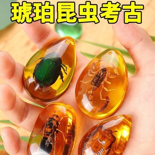 �S�����l���x����Y���˱�����ϐ��֩��֪���x��Y��ԭʯ��ͯ�ƌW