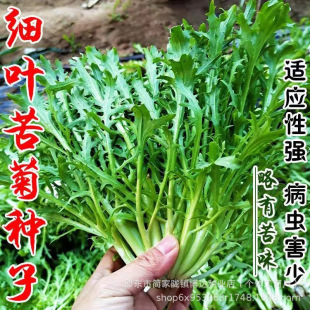 �S�Ŀ��ķN�Ӽ��~�S�Ľ𻨿�շN���ļ��G�~���~����＾�߲˷N��