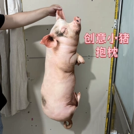 靠垫/抱枕;毛绒玩具;女士斜挎包