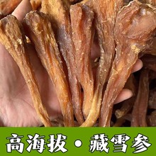 高海拨藏血参 藏雪参 雪人参 血人参西藏雪人参
