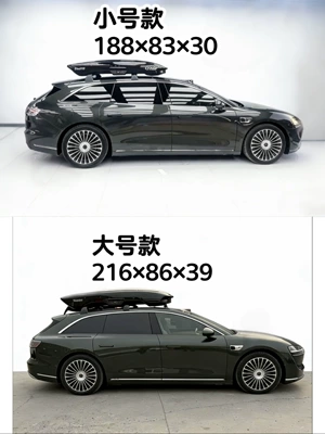 Same Style as Chen Zhen'S, for Roof box