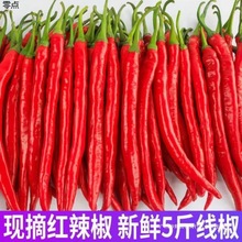 �t�������r�r�Ҽt�������G�l�����⽷�������������u�����Ӱ��]