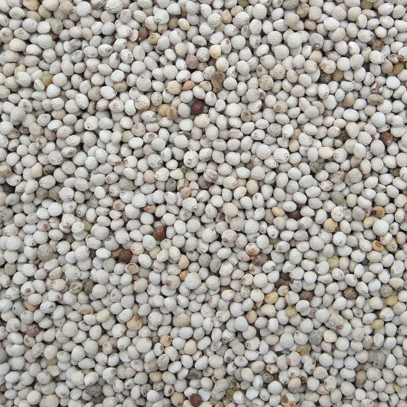 Белая просо, мягкое просо, корм для птиц, корм для попугаев, корм для канареек, птица франжипани, канарейка, нефритовая птица, зяблик, десять сестер.