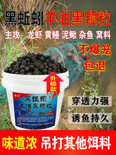 �ڱ����˺���������w���D�ϵؾW�r�\�D���S�X�T�D���r���q���r