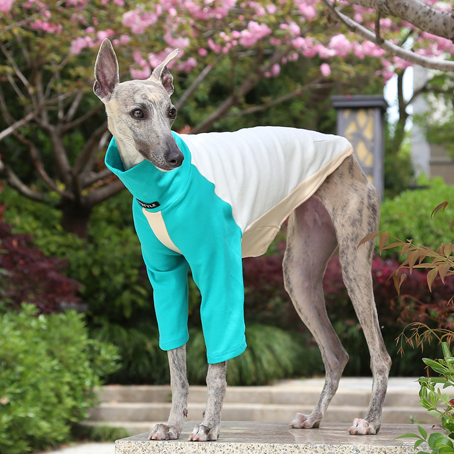 Petstyle 三彩视界打底衫 意大利小灵缇惠比特宠物衣服跨境亚马逊