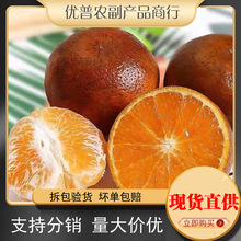 ���x�V���������r�����֭���ޞ��̳�̬Fժ���Q��Ƥ�ָ̮���ˮ��