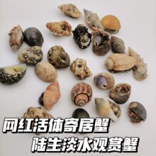 ���l�ɐ۶����ľ�з���w�ľ�з��Q�����Ȼ��ڏ���߅���b��^