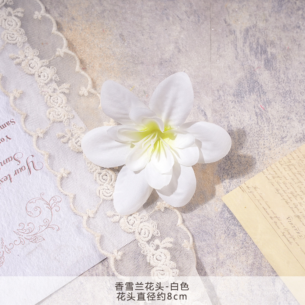 XH2-향기로운 눈 난초 머리-흰색