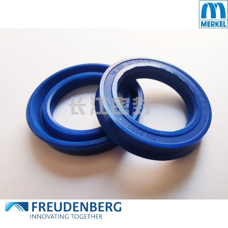 CFW N9509 125-133-6.5 德国油缸密封圈 液压油封 进口密封件