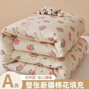 Xinjiang Cotton Winter Quilt Thickened Warm Pure Cotton Quilt Flower Quilt Core Bedding Home Winter Single Dormitory Spring and Autumn Quilt