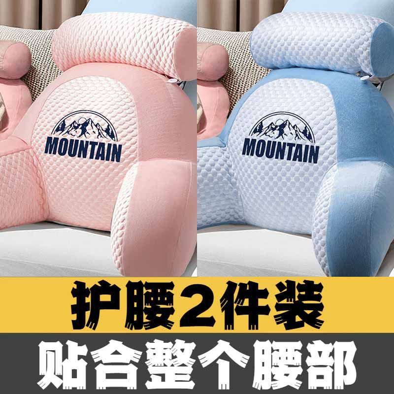 317 핑크 + 317 블루