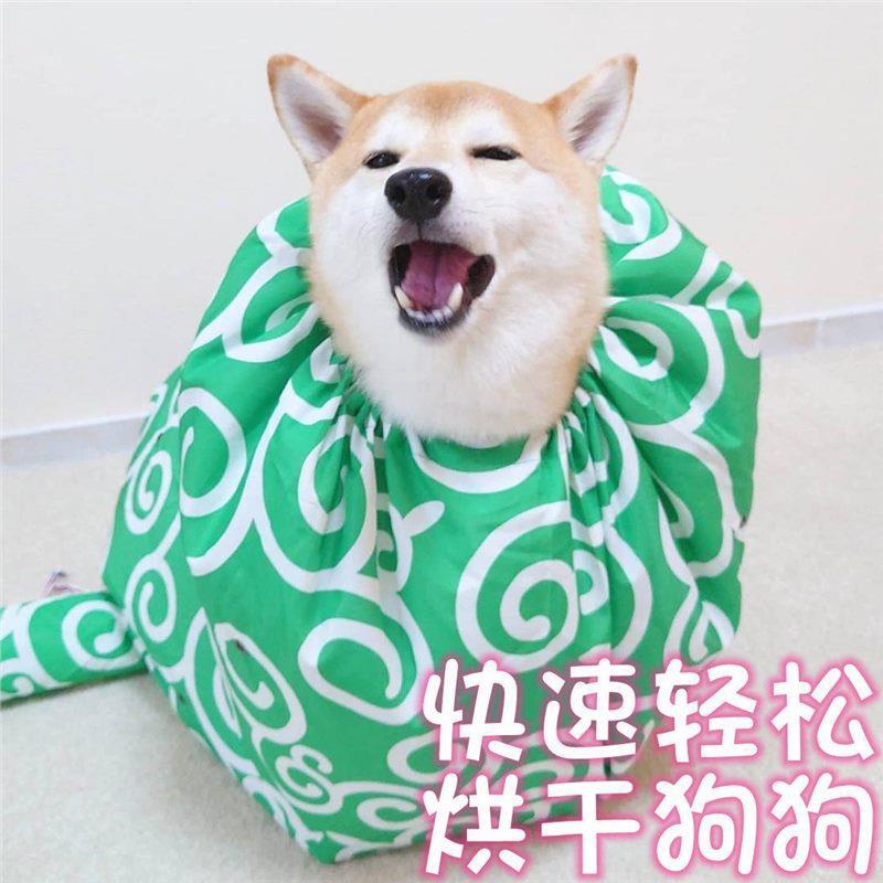 Pet Drying Bag Box for Large Dogs, Dog Drying Clothes, Hair Blowing, Household Hair Dryer, Bathing Shiba Inu, Yingshuo Source Delivery