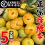 安顺贵州正宗孕妇水果