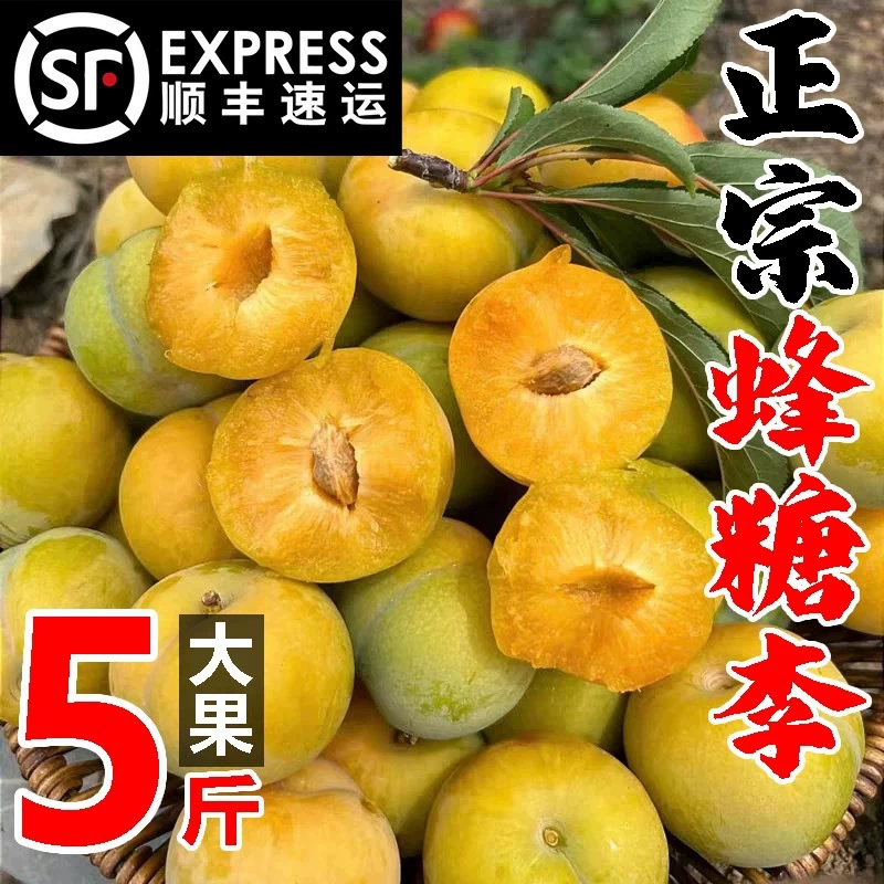 Аутентичные свежесобранные свежие фрукты Guizhou Anshun Liuzma Bee Sugar Plum, хрустящие сладкие сезонные свежие фрукты, без костей, сливки для беременных женщин