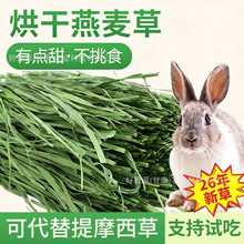 26年烘干燕麦草提摩西草兔子干草龙猫豚鼠牧草兔粮饲料小麦草兔草