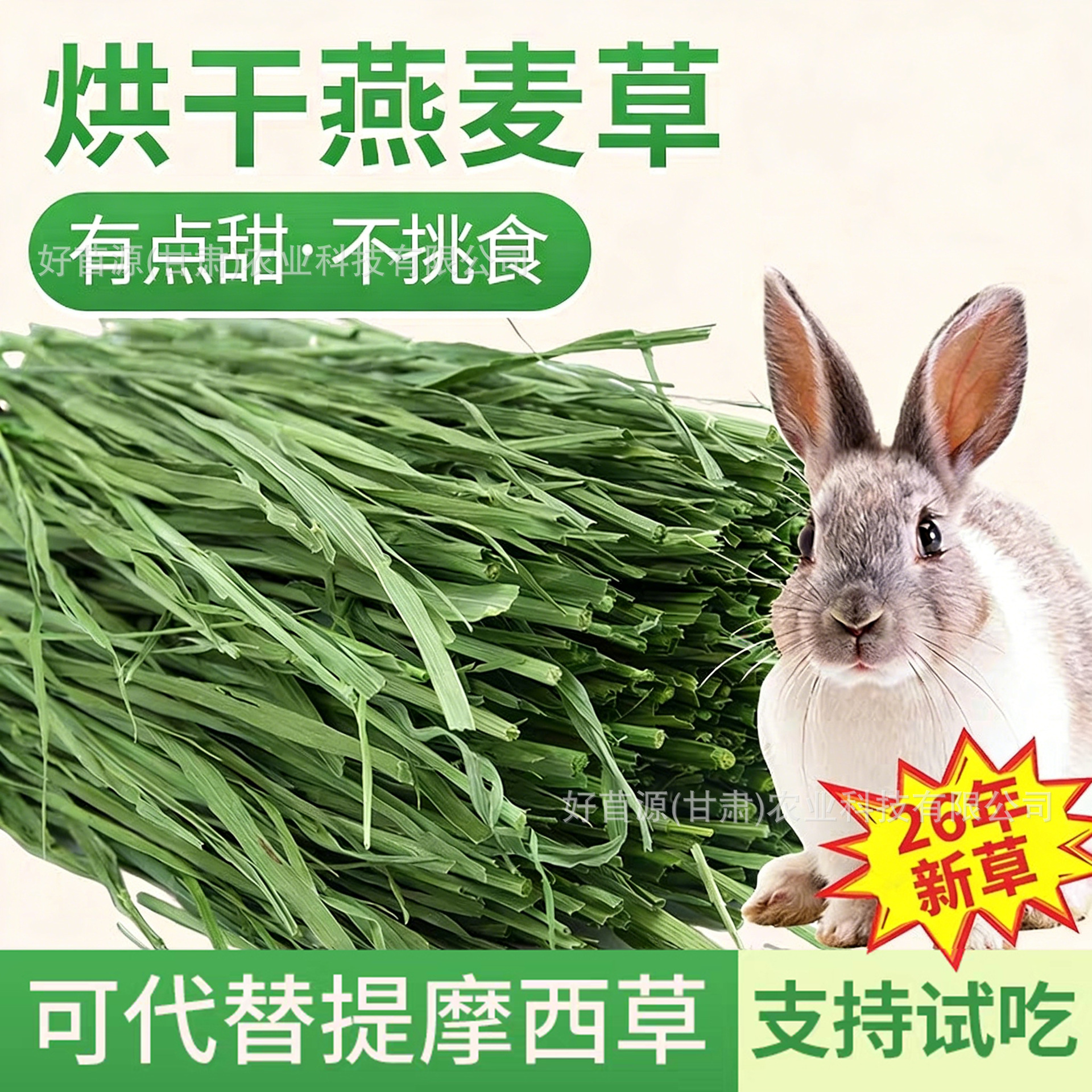 26年烘干燕麦草提摩西草兔子干草龙猫豚鼠牧草兔粮饲料小麦草兔草