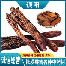 �i�������ș���i���Ƭ �i��i�Ƭ��Ұ���ؼ��ɴ���ɐ���ݾ�ˮ