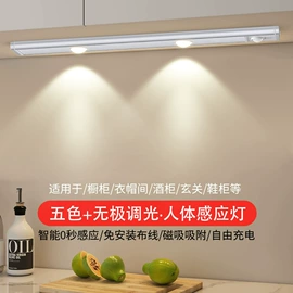 LED支架灯;小夜灯;LED日光灯