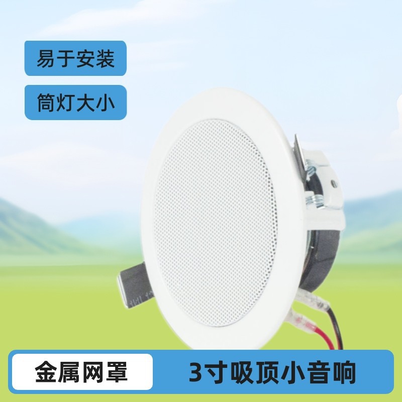 天籁3寸定阻筒灯式迷你吸顶喇叭蓝牙天花吊顶背景音乐小音箱tl009