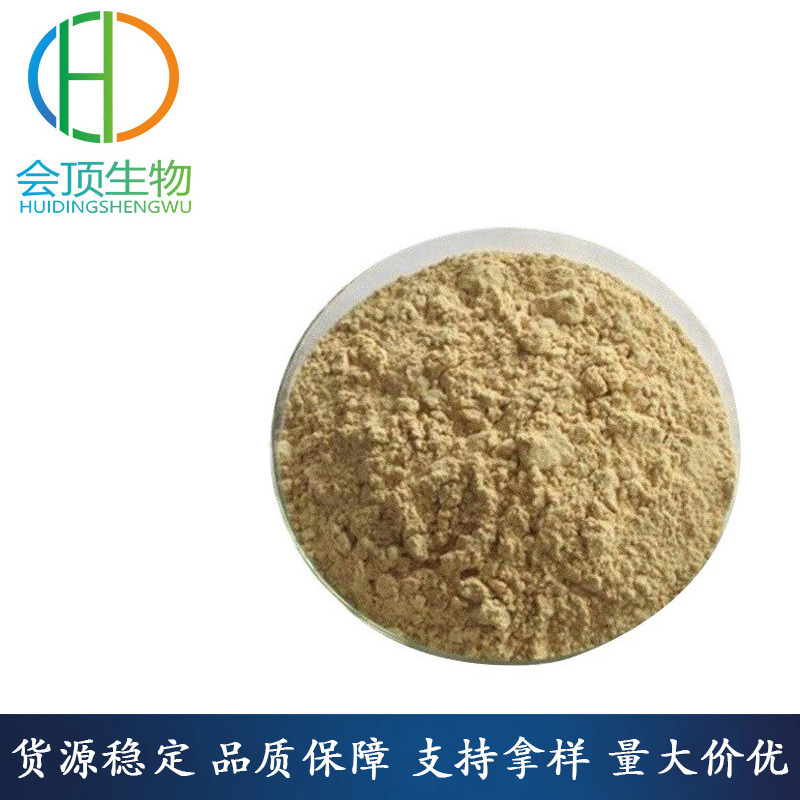 富硒酵母粉食品级 富硒酵母  补充微量元素硒 2000ppm 量大从优