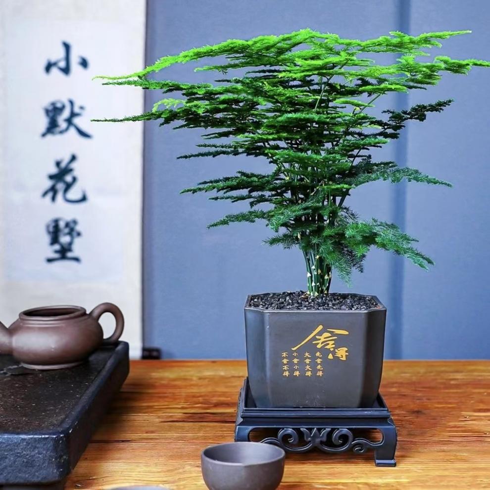 e5f1fe95-6a40-4bac-9e6f-46aeb445f687.jpe