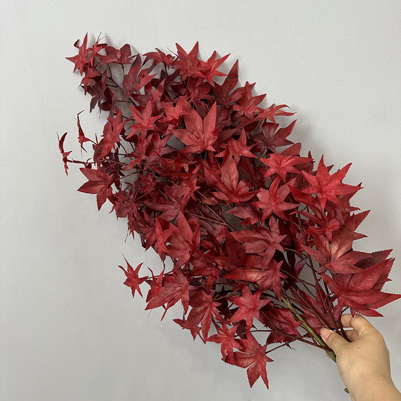 Maple leaf