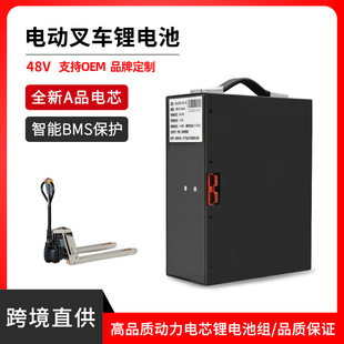 出口杭叉48V鋰電池組24V48V10Ah15Ah手推式叉車電動搬運車鋰電池