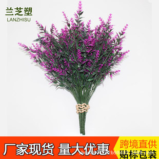 �羳����ˮ��޹�²ݻ���7����~�����ϻ��Ҿ����ҿ͏d�����ٻ�