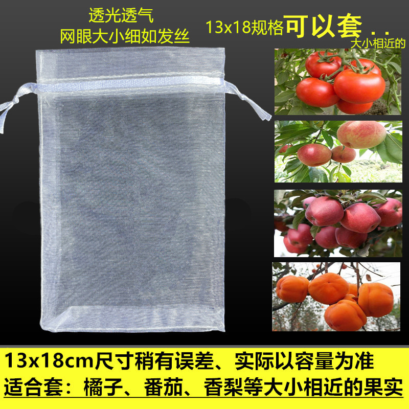 水果防鸟防虫网袋瓜果保护袋子无花果枇杷葡萄网袋桃子草莓保护套|undefined