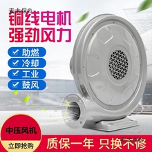 �x��ʽ�Љ��L�Cúȼ��t��偠t250W550W���L�C220v�������I��̫��