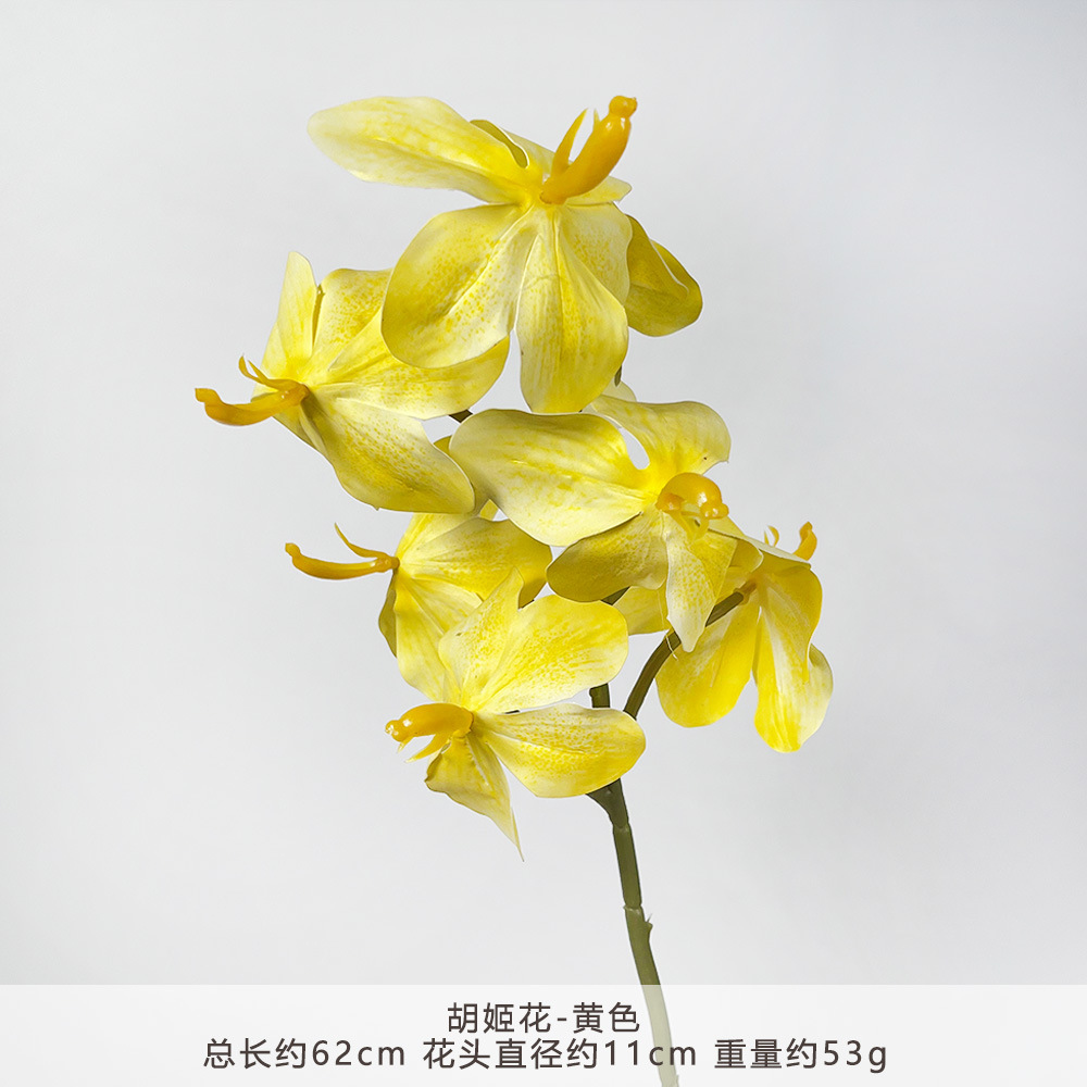 YM2-胡姬花-黄色