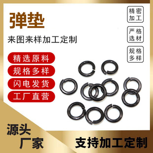 8.8\| ߏȏɉ| ɉ|Ȧ ɉ|ƬҎRȫ