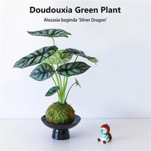 ��Ϭţ����̦�\��ins�L�������Կ͏d�ļ����B�����՚���˾Gֲ