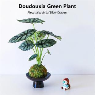 ��Ϭţ����̦�\��ins�L�������Կ͏d�ļ����B�����՚���˾Gֲ