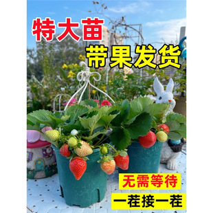 �ش��ݮ�������Ԏ����ļ��Y�������t������ݮ���҃��̨�Gֲ��