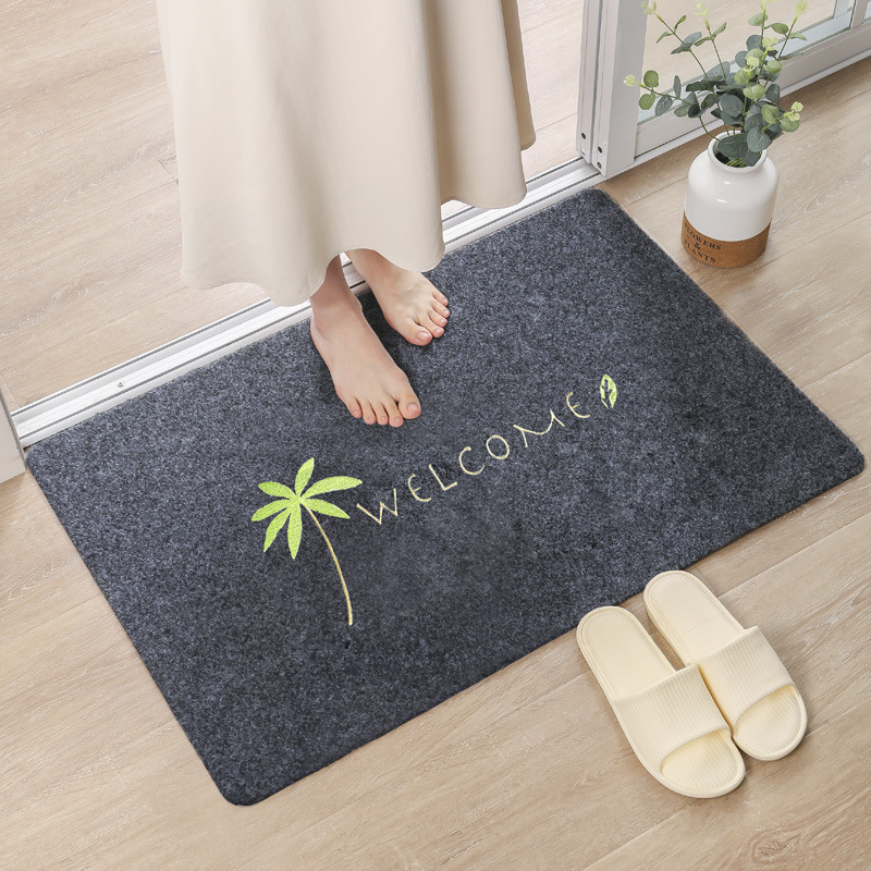 Entrance Door Floor Mat, Bathroom Shower Mat, Kitchen Water-Absorbent and Stain-Resistant Mat, Bedroom Living Room Crystal Velvet Carpet