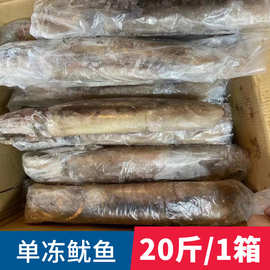 批发单冻鱿鱼原条无冰阿根廷新鲜冷冻整条鱿鱼筒饭店酒楼食材商用