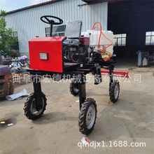 r15R݆șC ݆ʽșC С׵؇șC