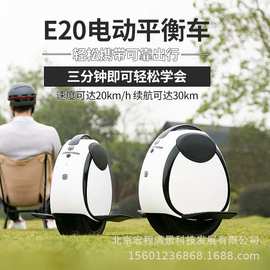 乐行天下小圆仔E20双轮平衡车2024新款儿童成人智能代步平衡车无