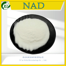 NAD99% NAD+烟酰胺腺嘌呤二核苷酸 53-84-9 烟酰胺腺嘌呤 现货