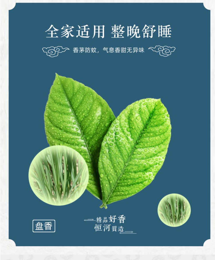 1___【宽264.84mm×高320.25mm