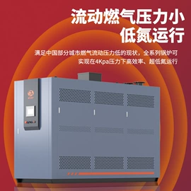 蒸汽发生器;燃气锅炉;电热锅炉