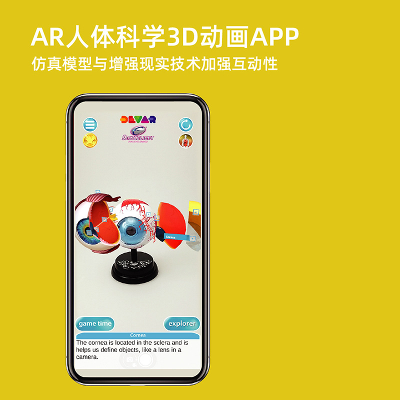 Yigao estudiante oftalmología experimento de lujo traje modelo de ciencia y educación para niños juguete estructura fisiológica modelo de ojo humano