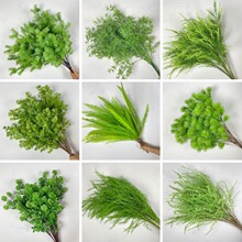 �Gɫɭϵ���Ļ�c���ٻ�������Y�õ�픽����G�~����ܛ�b��ˇ